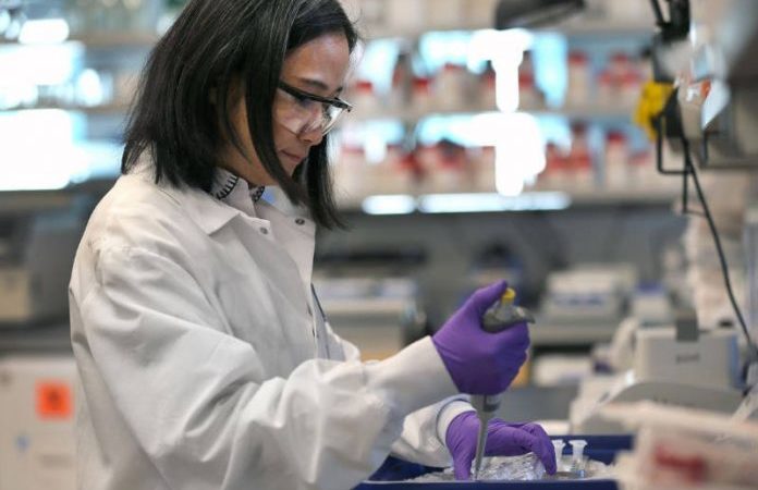 Dose única de vacina da Johnson & Johnson tem sucesso contra covid
