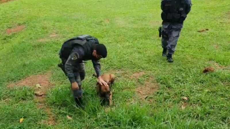 Drogas no cemitério do Distrito Federal (veja vídeo)