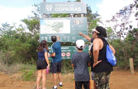 STF cobra explicações de órgãos do DF sobre despejo em parque no Lago Sul