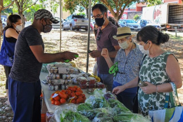 Cardápio variado nas feiras rurais: de mel a café orgânico