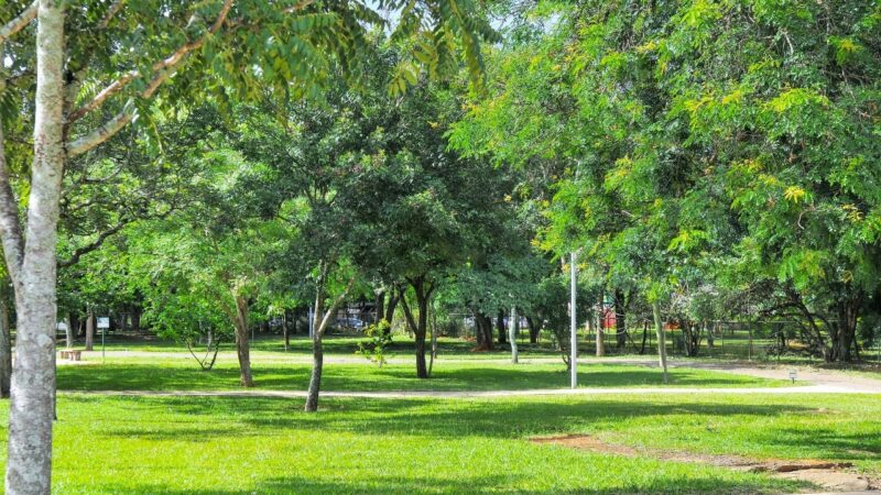 Parques urbanos são temas de debates nesta semana: segunda (29) e quinta (2), às 19h