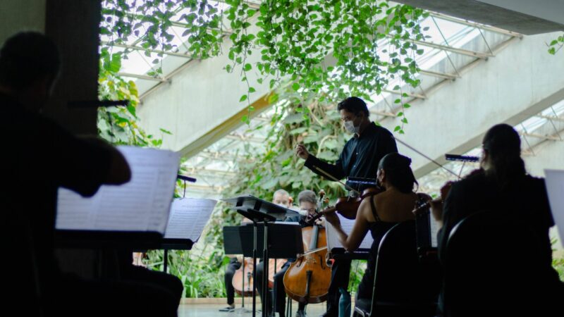 Orquestra Sinfônica retoma apresentações presenciais
