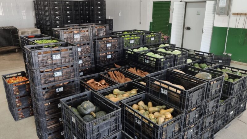 Governo investe R$ 1 milhão na compra de produtos da agricultura familiar