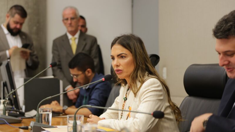 Frente Parlamentar do Terceiro Setor será lançada nesta quinta-feira, no plenário da Câmara Legislativa