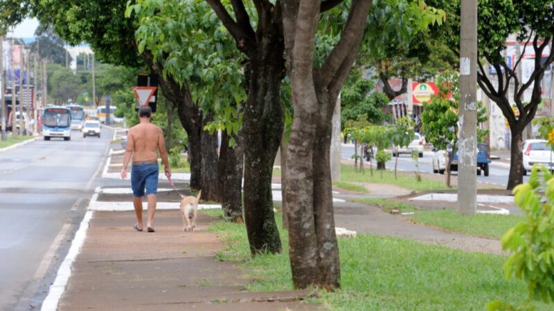 Participe de pesquisa inédita sobre cães e gatos no DF