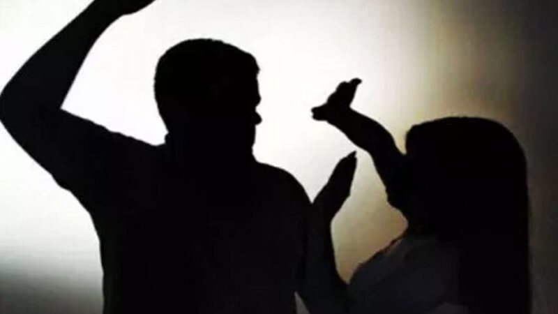 GDF regulamenta o procedimento administrativo de inclusão de mulheres vítimas de violência doméstica e familiar, em situação de risco extremo