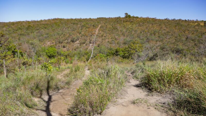 Contação de histórias e educação ambiental marcam a Semana do Cerrado