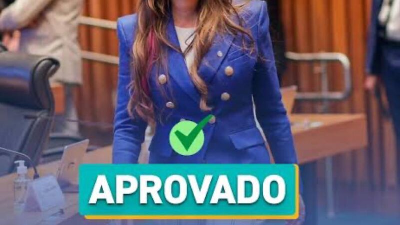 Deputada Paula Belmonte garante transporte gratuito para pais de bebês prematuros internados no DF